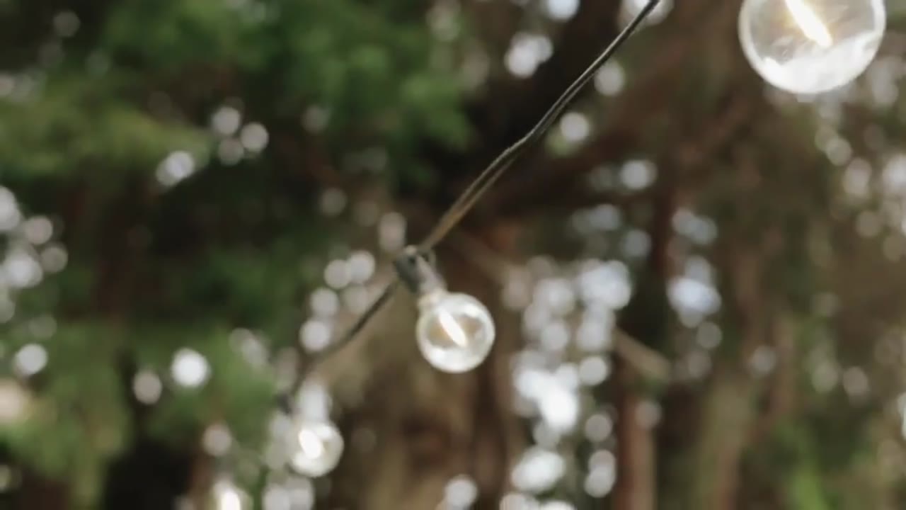 Wedding film clip: String lights