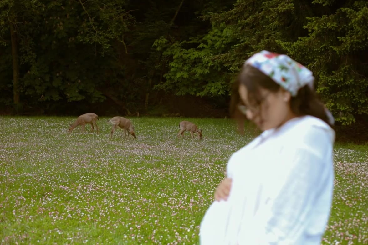 Expecting mother in a meadow with deer grazing behind her